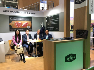 CHINA INTERNATIONAL IMPORT EXPO (CIIE) del 5 al 10 de Noviembre de 2018