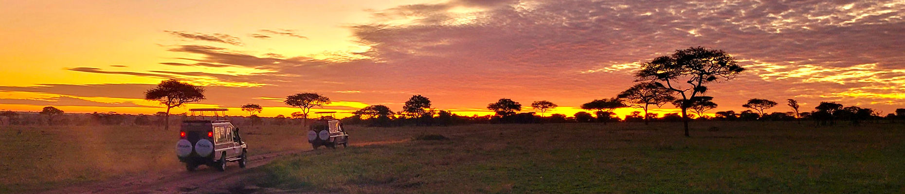 Safari-Fahrzeug bei Sonnenuntergang in der tansanischen Savanne