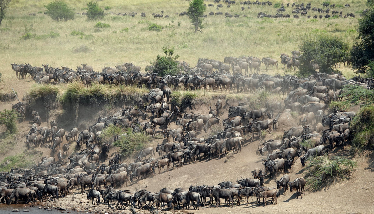 River Crossing