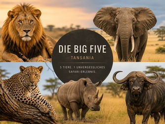 Big Five Löwe Elefant Nashorn Leopard Büffel