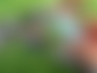 Сверимся с ФНС по транспортному и земельному налогам