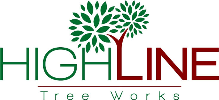 Highline Tree Service Arborist | New South Wales | High Line Tree Works