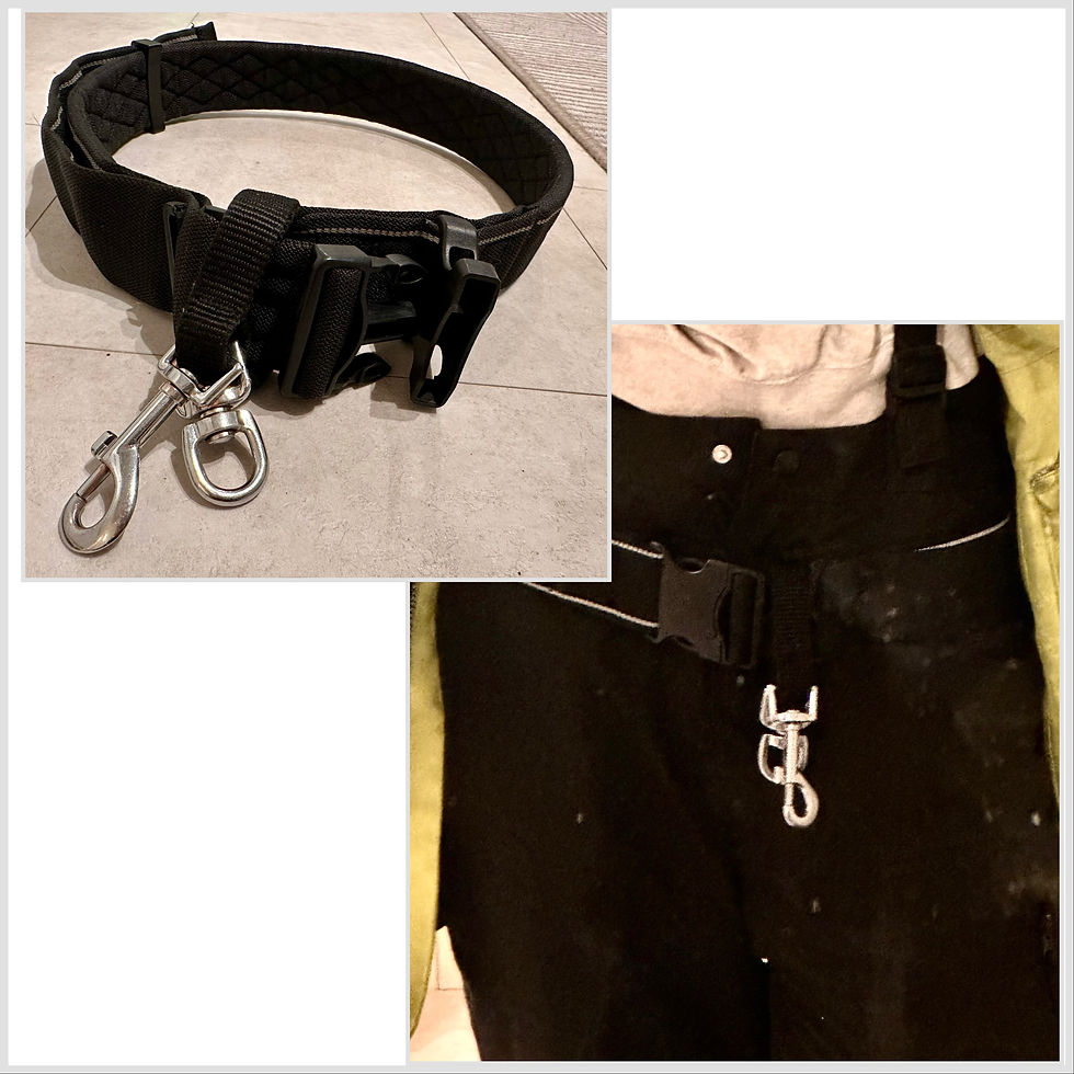 Image of Hip Belt – More Stability Than a Waist Belt having a big dog.
