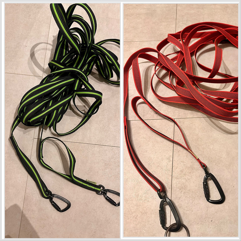 Image of Tactical Leash – Gives you Instant Control When You Need It.