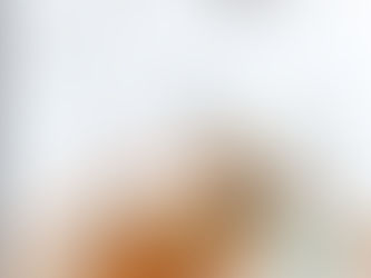 夏の景色 涼をたしなむ 器たち 6/27(金)~7/12(土)