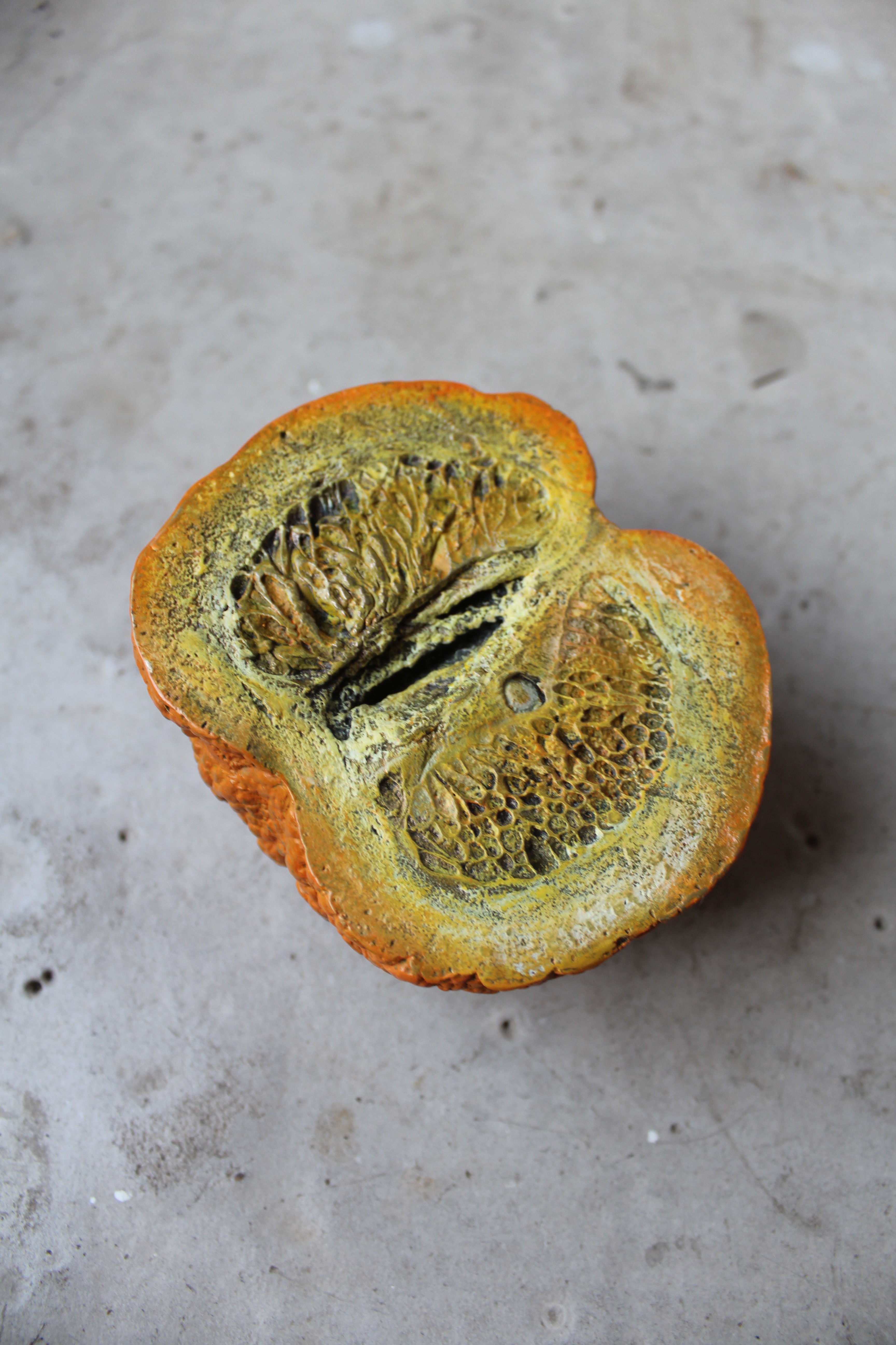 Seville Orange Sliced