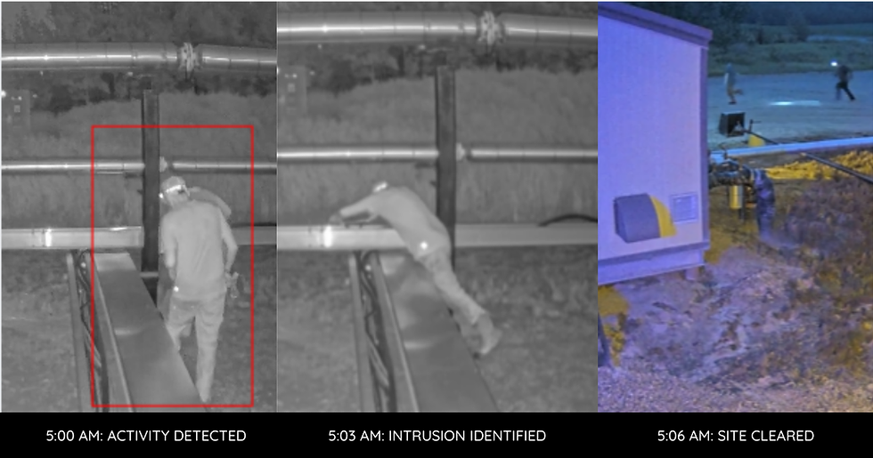 Security footage from theft