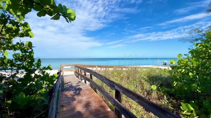 Eye-level view of wooden boardwalk leading through mangrove forest to beach