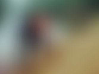 Saaleschwimmer Halle e.V.