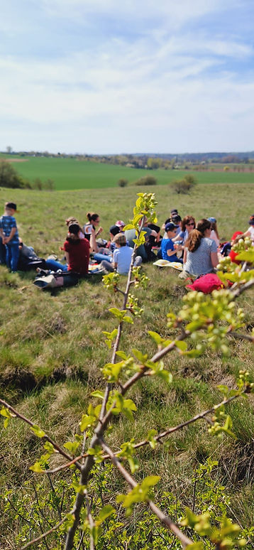 Familienwanderung.JPG