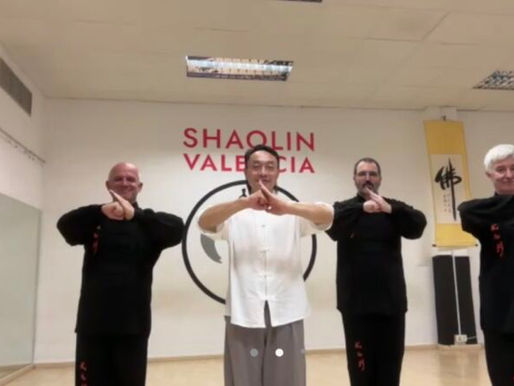 Curso de la Forma de Sable de 13 Movimientos de Sistema Chen de Taiji Quan