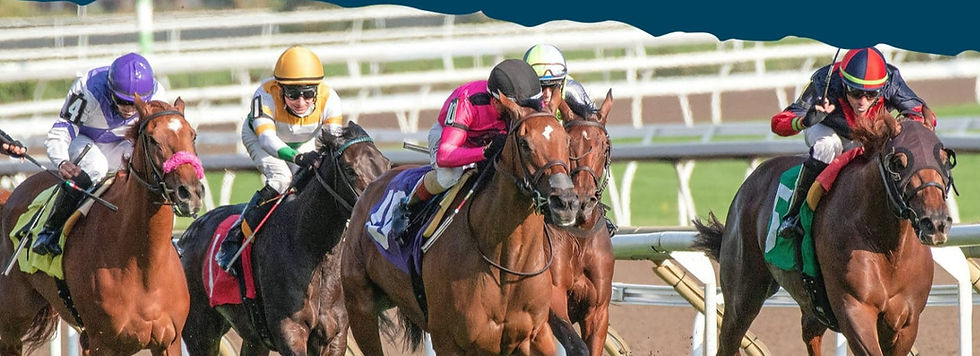 Race Night