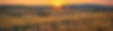 51327601029_17c31346eb_o_edited.jpg