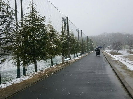 京田辺はまた雪です。