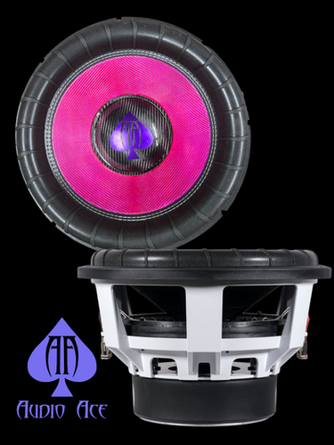 Wild 15 with Dyeable Cone D4 | Audio Ace