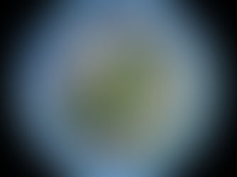 Temple Beth Torah Fremont California