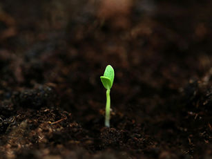 It is a mitzvah, then, a sacred Jewish obligation, to resist – to resist our own resignation and despair and to resist tyranny and injustice in our country and our world. 