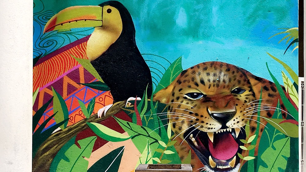 holbox (68)