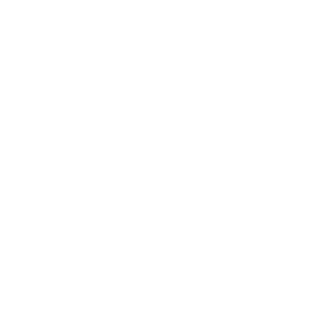 website_logo.webp