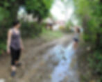 The road to Enriques