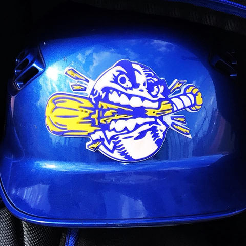 Raised Decals Custom 3D Helmet Decals for Baseball, Softball, Football, Hockey, School Stores Spirit Club Sales, Booster Club Sales, Merch Sales, Multi-purpose 3D Decal Auto's vehicles, laptops