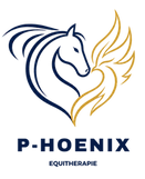 logo - Yves-3.png