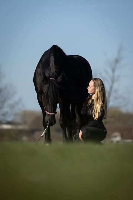 P-HOENIX Equitherapie - 05 - 2M0A7350 - praktisch en werkwijze.jpg