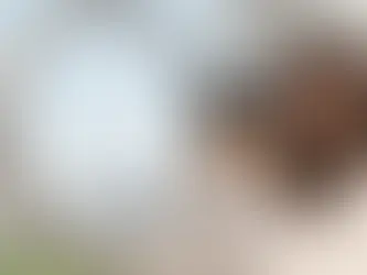 Ejemplos de activaciones fotográficas que impactan