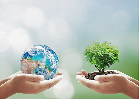 jardinagem-sustentavel-oleo-mac (1).png