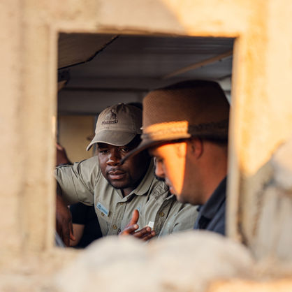 Safari ranger and guests watching wildlife on a morning game drive