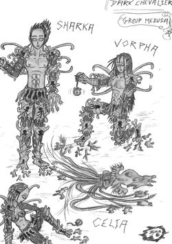 dark chevalier - group medusa