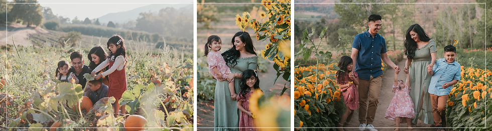 Perez Family Banner.png