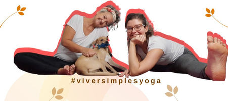 Por que você buscou o Viver Simples?