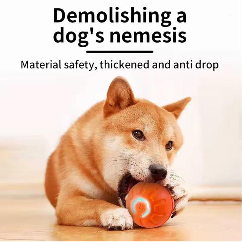 Bola de brinquedo inteligente para animais de estimação, brinquedo interativo