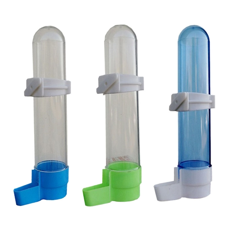 Pet Bird Plastic Auto Alimentador, papagaio, alimentação calopsita, bebedor de