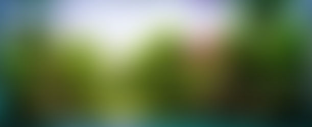 Création d’un arbre pour le paysage aquatique