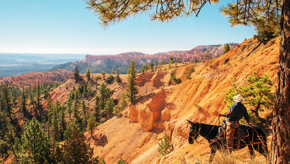 BryceCanyon-IMG_9895a.jpg