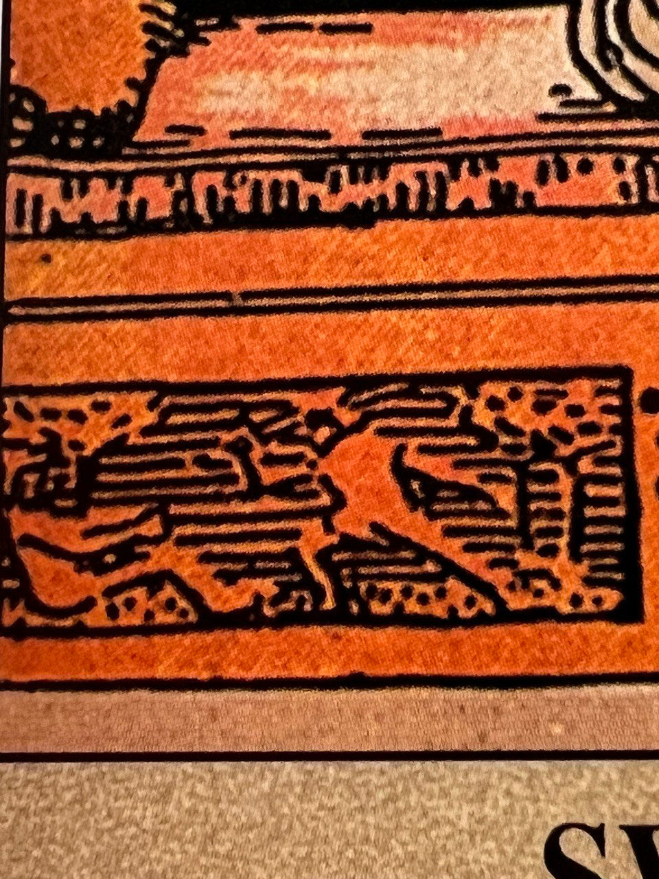 dettaglio carta