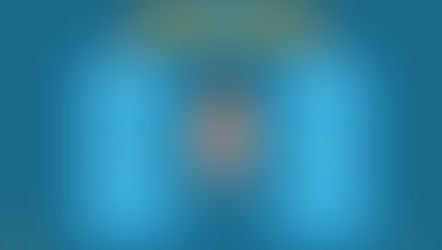 Business strategy visualisation - the discover your customer (template)