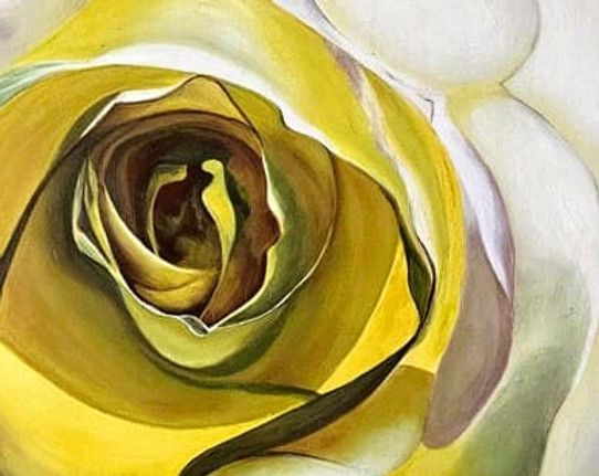 Gemälde einer gelben und weißen Rose in Nahaufnahme, goldlinie