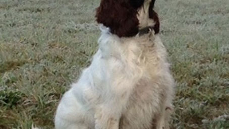 Things are Looking Up