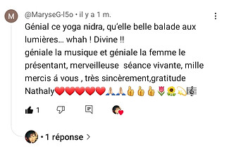 commentaire chaîne youtube mon présent mon allié