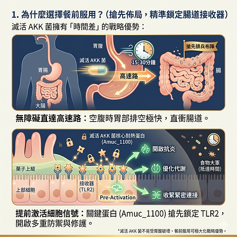 fasted (2).png