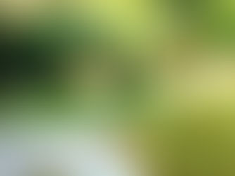 Twee glazen wijn en druiven