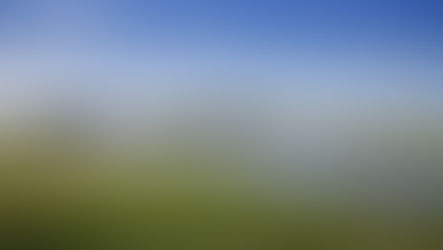 Het weiland in Delfland