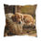 Thumbnail: Golden Afternoon Outdoor Pillows