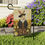 Thumbnail: Darla the Daffodil Bunny Garden & House Banner