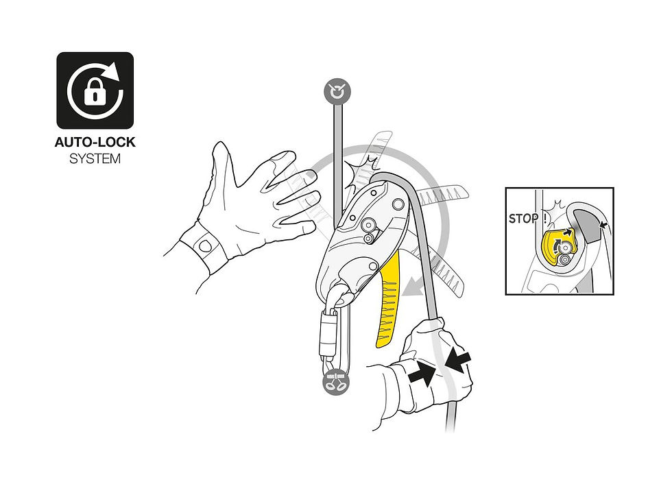 Miniatura: RIG® discensore riparabile - PETZL