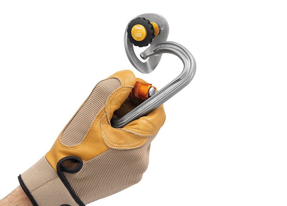 Miniatura: COEUR PULSE 12 mm Ancoraggio amovibile  - PETZL