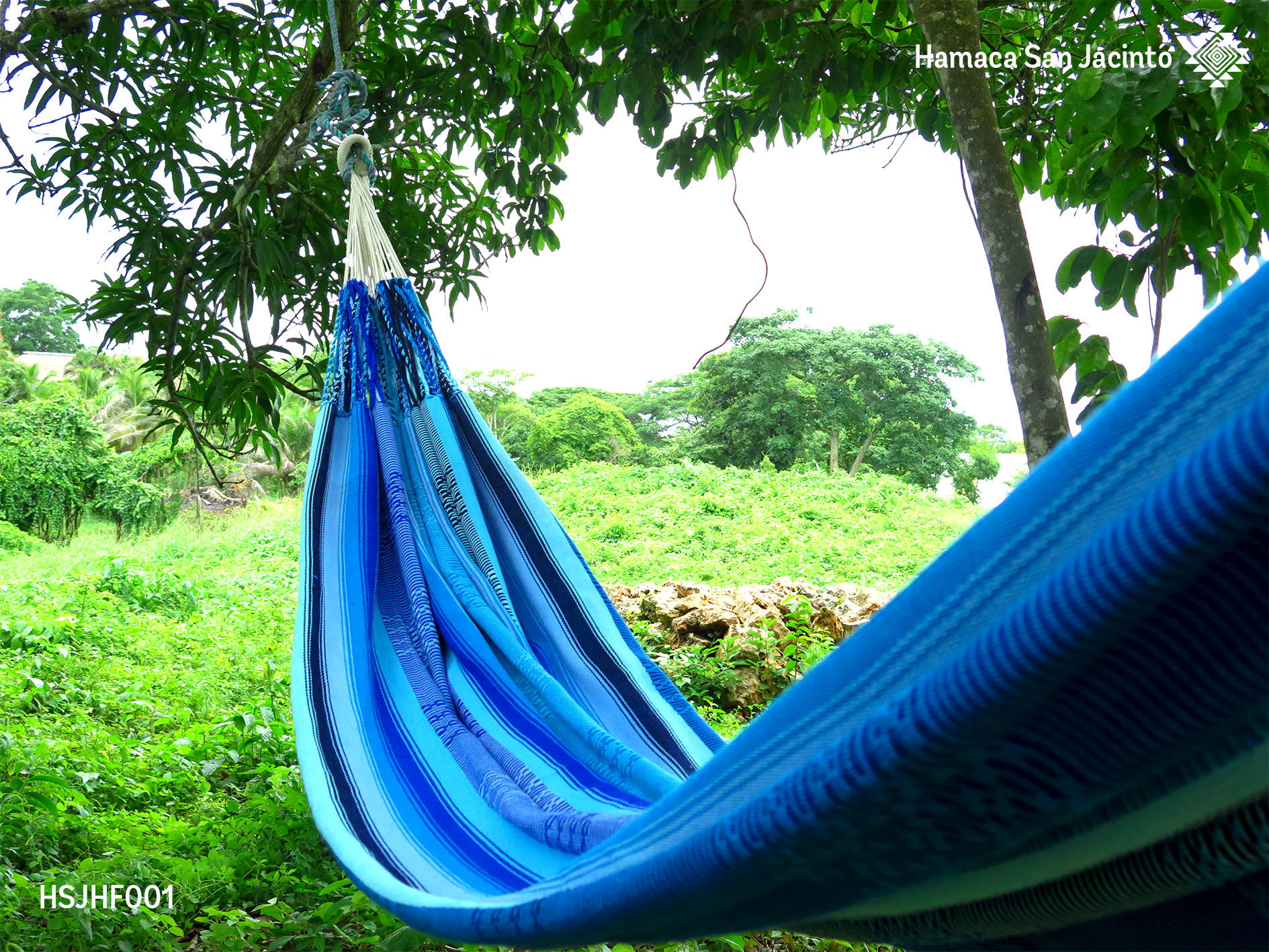 Hamaca - Explosión de Azules